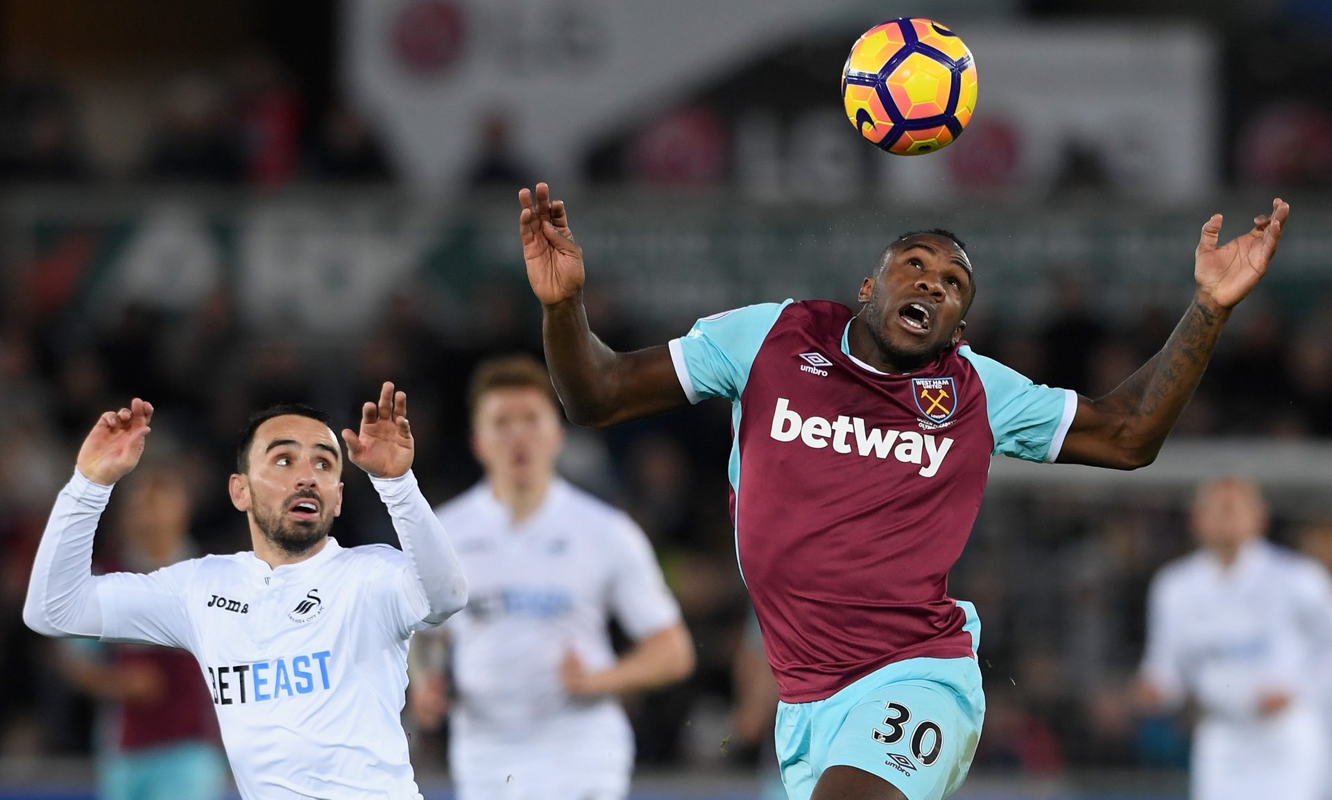 他将在今年 他将在今年